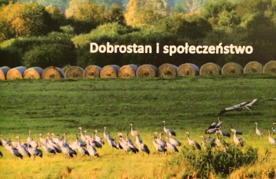 Dobrostan i społeczeństwo